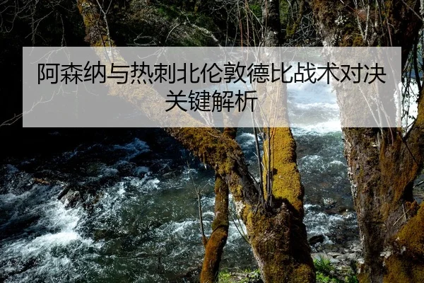 a-sen-na-yu-re-ci-bei-lun-dun-de-bi-zhan-shu-dui-jue-guan-jian-jie-xi-1-352.jpg